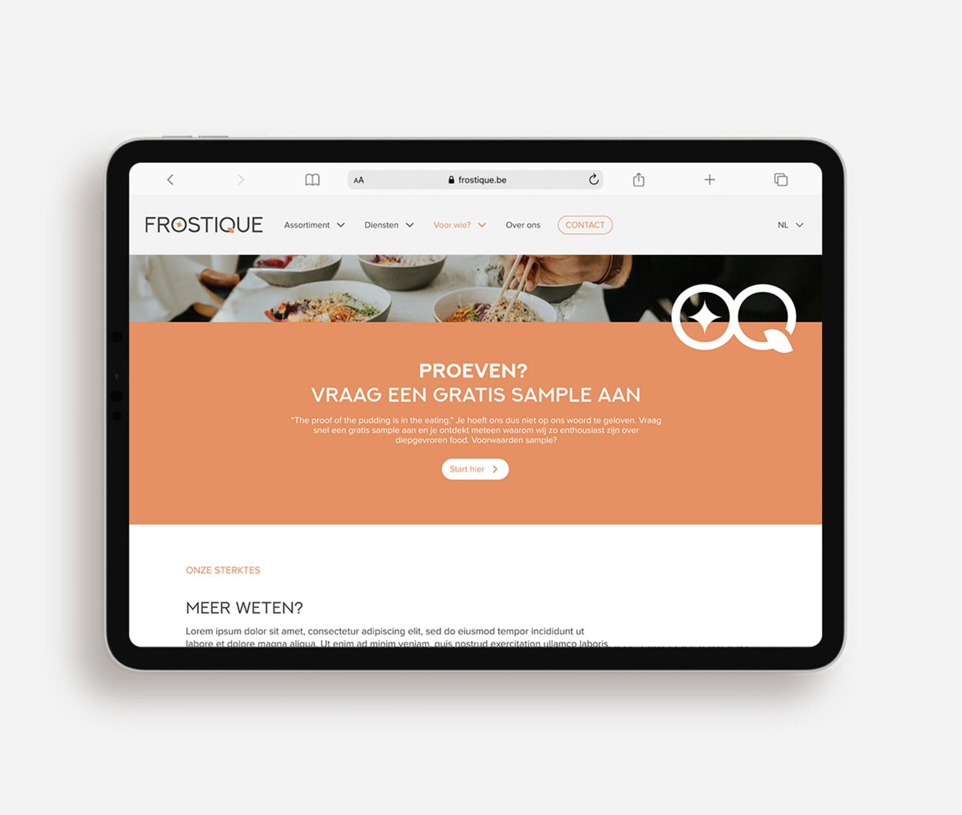 Frostique sample aanvragen huisstijl en website Brand design UXUI Ipad liggend half page 2x
